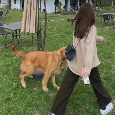 马勒冈的超级男孩